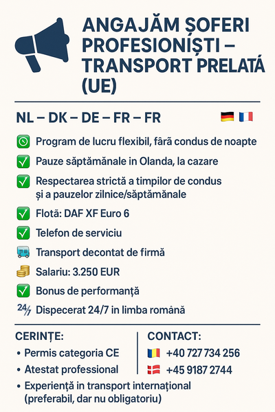 Soferi profesionisti.